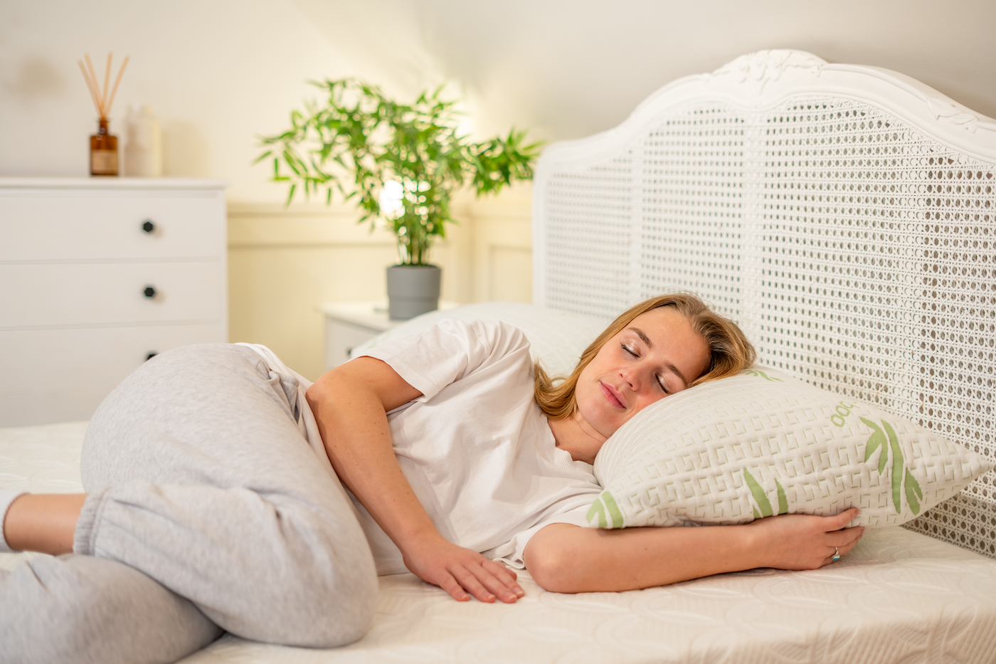 The Bamboo Hotel Premium Pillow